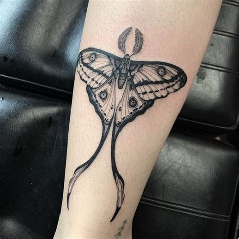 detailed moth tattoo|Tattoo Lover’s Favorite – Moth Tattoo Guide (With。